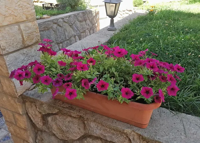 Apartman Lavanda Mali Lošinj