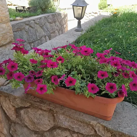 Lägenhet Lavanda Mali Lošinj